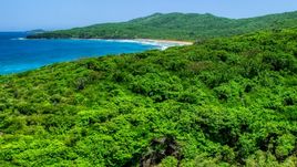 Coastal vegetation and sapphire blue waters, Culebra, Puerto Rico  Aerial Stock Photos | AX102_121.0000158F
