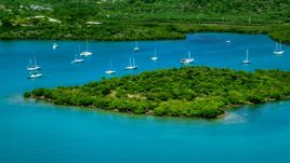 Group of sail boats in sapphire blue waters by tree covered coasts, Culebra, Puerto Rico Aerial Stock Photos | AX102_141.0000223F