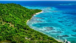 Sailboat and reefs by a tree filled island coast, Culebrita, Puerto Rico  Aerial Stock Photos | AX102_185.0000000F