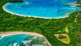 Turquoise waters and white sand Caribbean island beaches with trees, Culebrita, Puerto Rico Aerial Stock Photos | AX102_189.0000000F