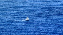 Catamaran sailing sapphire blue waters, Atlantic Ocean Aerial Stock Photos | AX102_193.0000158F