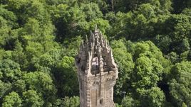 The top of iconic Wallace Monument with tourists, surrounded by trees, Stirling, Scotland Aerial Stock Photos | AX109_053.0000000F