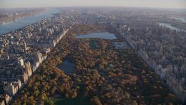 Central Park with autumn leaves at sunrise in New York City Aerial Stock Photos | AX118_190.0000000F