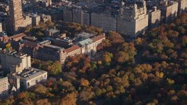Museum of Natural History and autumn leaves at sunrise in Upper West Side, New York City Aerial Stock Photos | AX118_191.0000274F