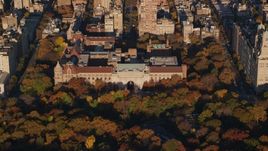 Autumn leaves around the Museum of Natural History at sunrise in Upper West Side, New York City Aerial Stock Photos | AX118_193.0000177F