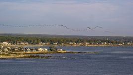 A flock of birds above a coastal town, autumn, Rye, New Hampshire Aerial Stock Photos | AX147_163.0000150