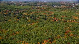 Dense, colorful forest, rural homes, Biddeford, Maine Aerial Stock Photos | AX147_279.0000000
