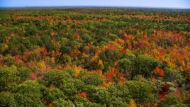 A colorful forest in autumn, Biddeford, Maine Aerial Stock Photos | AX147_283.0000024