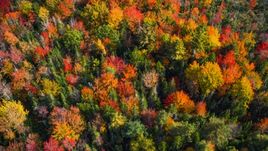 A colorful forest in autumn, Cushing, Maine Aerial Stock Photos | AX148_051.0000000