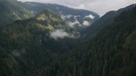 The Eagle Creek Trail canyon in Cascade Range, Hood River County, Oregon Aerial Stock Photos | AX154_041.0000122F