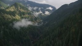 Eagle Creek Trail through a canyon in Cascade Range, Hood River County, Oregon Aerial Stock Photos | AX154_041.0000321F