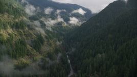 Eagle Creek Trail canyon, Cascade Range, Hood River County, Oregon Aerial Stock Photos | AX154_042.0000275F
