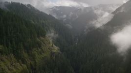 Misty clouds over the Eagle Creek Trail through a canyon in Cascade Range, Hood River County, Oregon Aerial Stock Photos | AX154_047.0000351F
