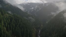 A misty canyon, evergreen forest, and Eagle Creek Trail, Cascade Range, Hood River County, Oregon Aerial Stock Photos | AX154_048.0000349F