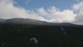 The snow line and snowy evergreen trees atop a mountain ridge, Cascade Range, Hood River County, Oregon Aerial Stock Photos | AX154_058.0000000F