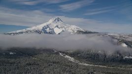 Snow-capped peak and low clouds over forest, Mount Hood, Cascade Range, Oregon Aerial Stock Photos | AX154_119.0000258F