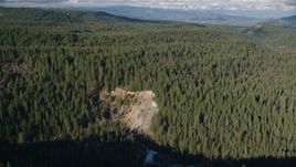 An evergreen forest in the Cascade Range, Hood River Valley, Oregon Aerial Stock Photos | AX154_129.0000284F