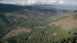 An evergreen forest clear cut area in Dee, Oregon Aerial Stock Photos | AX154_147.0000301F