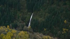 A waterfall and forest on the Oregon side of Columbia River Gorge Aerial Stock Photos | AX154_186.0000106F