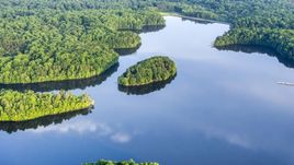 An island in a river surrounded by dense forest near Manassas, Virginia Aerial Stock Photos | AXP075_000_0029F