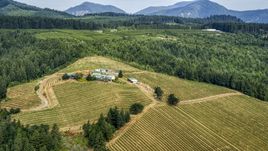 A hilltop covered with grapevine rows around buildings at Phelps Creek Vineyards in Hood River, Oregon Aerial Stock Photos | DXP001_016_0005
