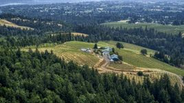 Phelps Creek Vineyards on a hilltop, Hood River, Oregon Aerial Stock Photos | DXP001_016_0012