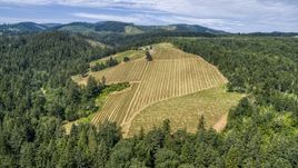 Vineyard covering the hillside at Phelps Creek Vineyards, Hood River, Oregon Aerial Stock Photos | DXP001_017_0018