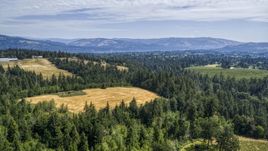 Evergreen trees and brown hills in Hood River, Oregon Aerial Stock Photos | DXP001_017_0019