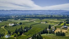 A view of orchards in Hood River, Oregon Aerial Stock Photos | DXP001_017_0022