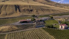 The Maryhill Winery in Goldendale, Washington Aerial Stock Photos | DXP001_018_0002