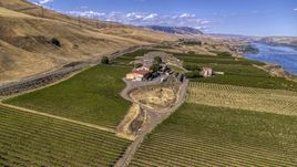 Maryhill Winery and vineyards overlooking the river in Goldendale, Washington Aerial Stock Photos | DXP001_018_0006