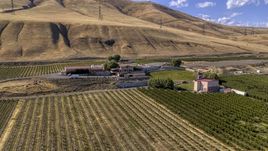 Maryhill Winery buildings and vineyards in Goldendale, Washington Aerial Stock Photos | DXP001_018_0007