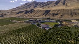 The Maryhill Winery and vineyards near brown hills in Goldendale, Washington Aerial Stock Photos | DXP001_018_0008