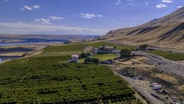 The Maryhill Winery and vineyards by the Columbia River in Goldendale, Washington Aerial Stock Photos | DXP001_018_0009