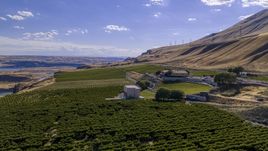 Maryhill Winery seen from grapevines by the amphitheater in Goldendale, Washington Aerial Stock Photos | DXP001_018_0018