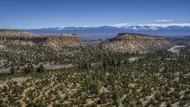A view of desert mesas and vegetation in New Mexico Aerial Stock Photos | DXP002_133_0002