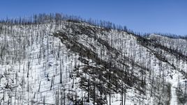 Dead trees on snowy slopes in New Mexico Aerial Stock Photos | DXP002_134_0006