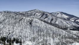 A view of mountain slopes with snow and dead trees, New Mexico Aerial Stock Photos | DXP002_134_0013