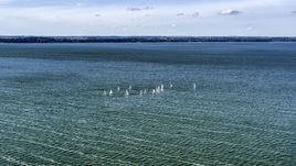 Sailboats on Lake Mendota, Madison, Wisconsin Aerial Stock Photos | DXP002_160_0004