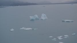 4K aerial stock footage orbiting floating icebergs, Inner Lake George, Alaska Aerial Stock Footage | AK0001_0040