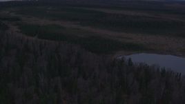4K aerial stock footage flying over shore, tilt down to closeup of trees, small lake, Point MacKenzie, Alaska Aerial Stock Footage | AK0001_0171