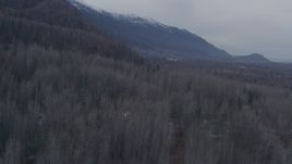 4K aerial stock footage flying over homes near Chugach Mountains, Knik River, Alaska Aerial Stock Footage | AK0001_0219