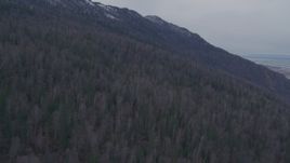 4K aerial stock footage ascending the forested slope of the Chugach Mountains, Alaska Aerial Stock Footage | AK0001_0223
