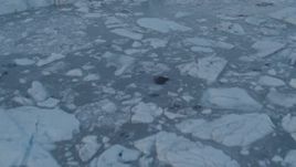4K aerial stock footage flying low over ice chunks in small lake near glacier, Knik Glacier, Alaska Aerial Stock Footage | AK0001_0285