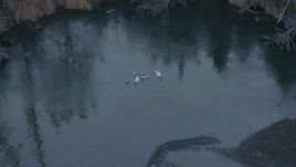 4K aerial stock footage orbiting geese sitting in a small pond, Knik River Valley, Alaska Aerial Stock Footage | AK0001_0286