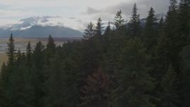 4K aerial stock footage flying over trees in the forested foothills, Portage, Alaska Aerial Stock Footage | AK0001_0377