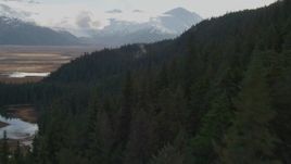 4K aerial stock footage fly low over forested slope, approaching grassland, Kenai Mountains, Alaska Aerial Stock Footage | AK0001_0381