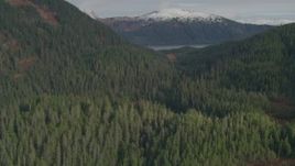 4K aerial stock footage approaching Esther Lake, from over tree lined shore, Esther Island, Alaska Aerial Stock Footage | AK0001_0409