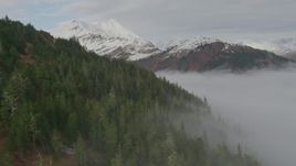 4K aerial stock footage fly over forested hillside, bay covered in fog, Prince William Sound, Alaska Aerial Stock Footage | AK0001_0414