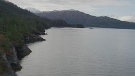 4K aerial stock footage flying over the bay, along the tree lined shore, Prince William Sound, Alaska Aerial Stock Footage | AK0001_0431